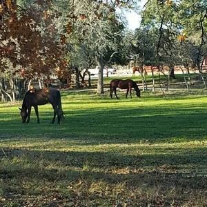 Meet your Posher, Beckie